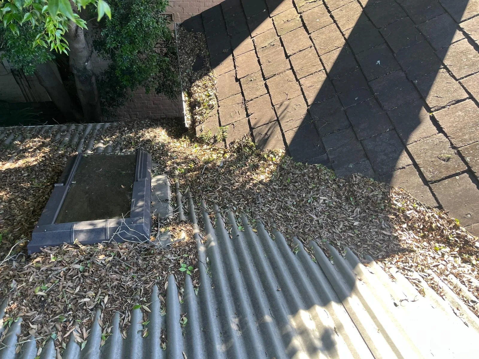 Roof valley and gutter packed with leaf litter