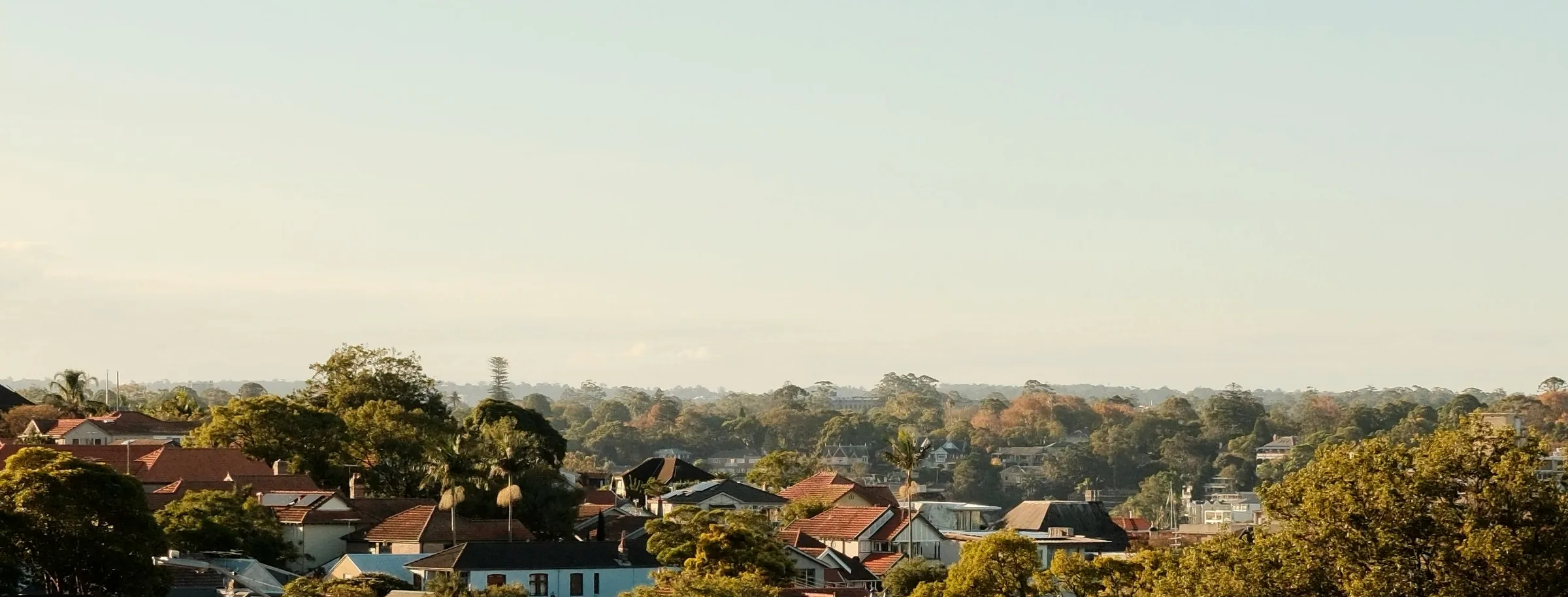 Inner West Sydney rooftops rolling away under tree canopy