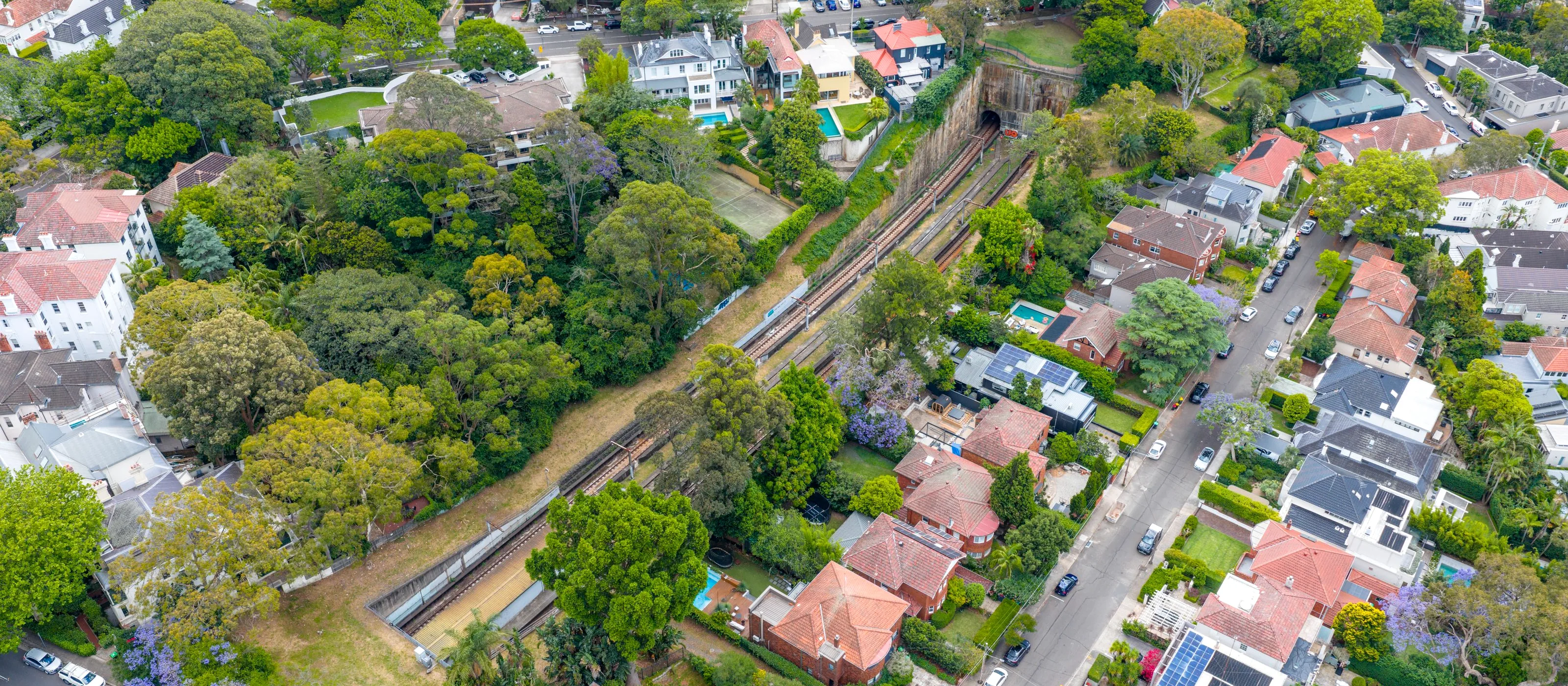 Aerial view of an inner Sydney suburb split by a rail corridor, dense tiled roofs under tree canopy