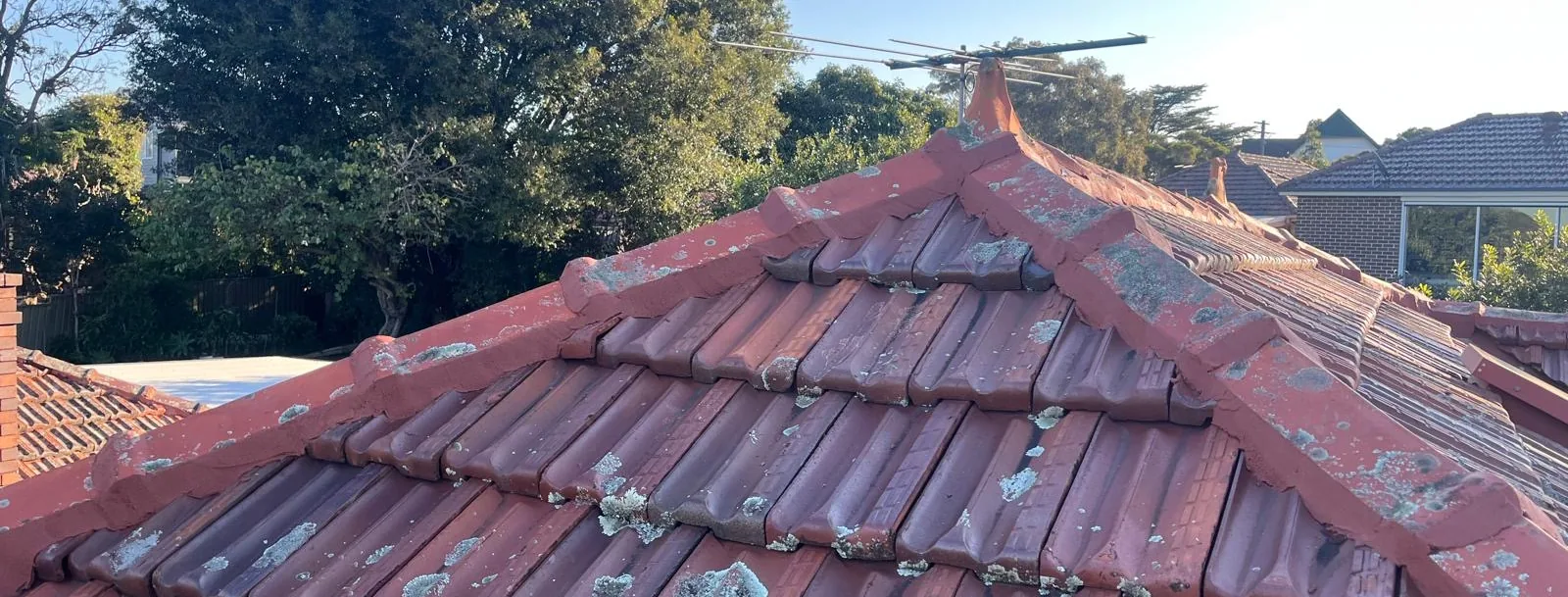 Terracotta tile roof and ridge line against the sky