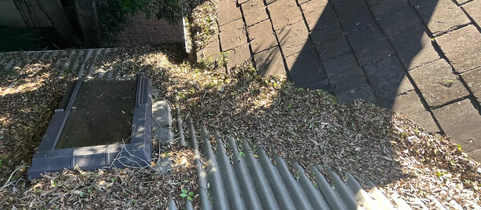 Roof valley and gutter packed with leaf litter beneath a tree canopy