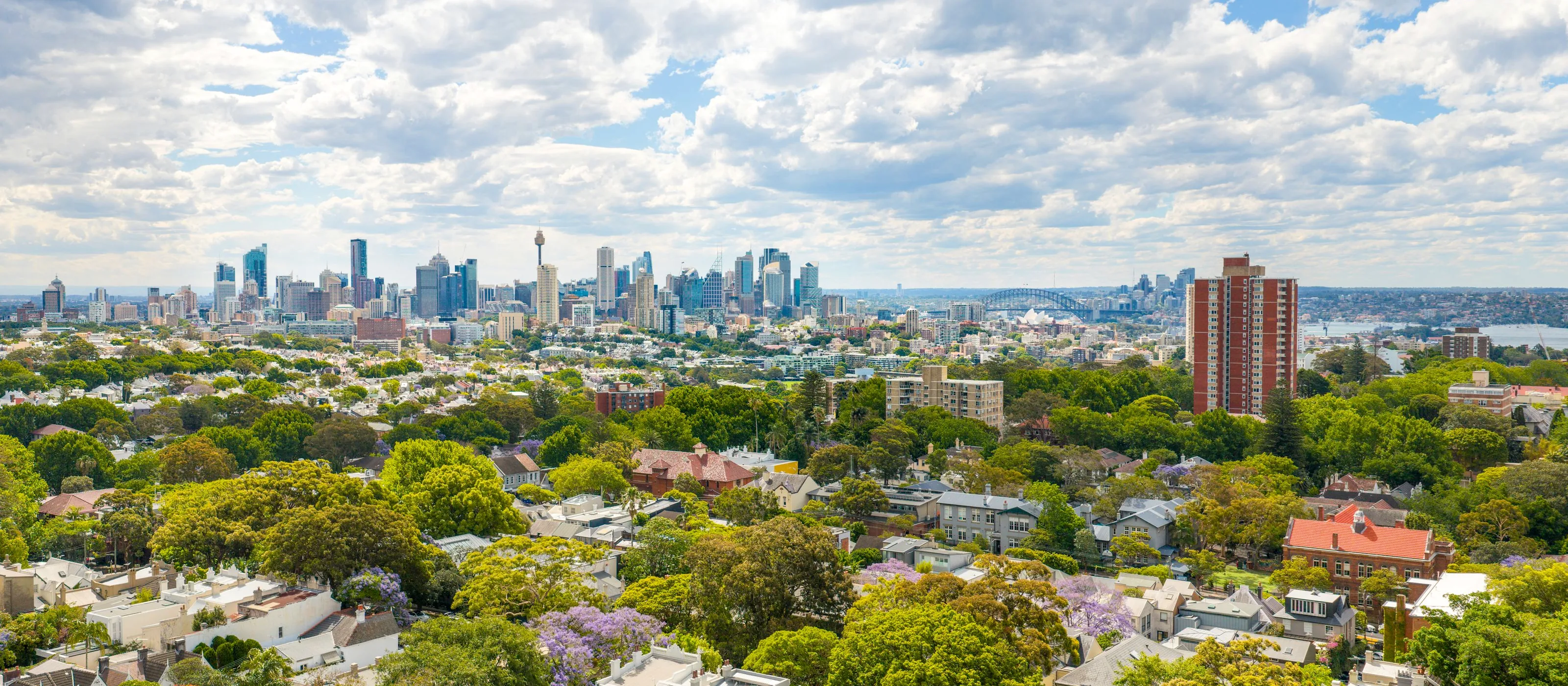 Aerial view of inner Sydney rooftops under heavy tree canopy toward the CBD skyline