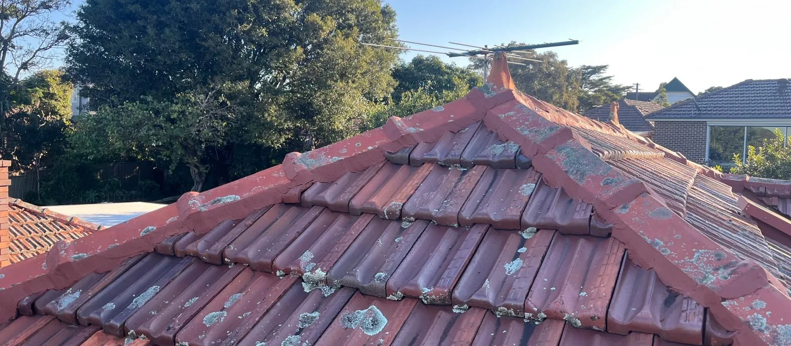 Original terracotta tile roof, hips and gable against a clear sky