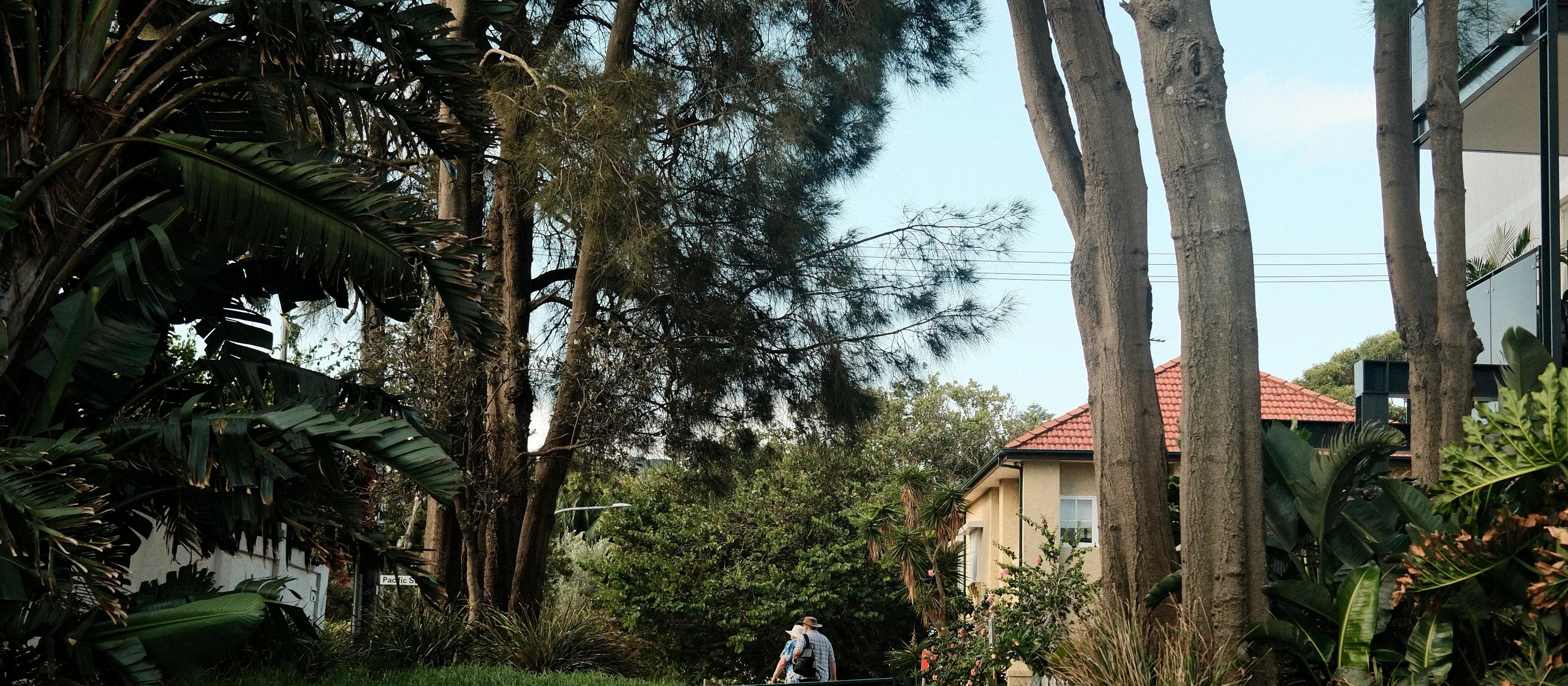 Gum trees on the edge of a bushland reserve with a low-rise flat block behind