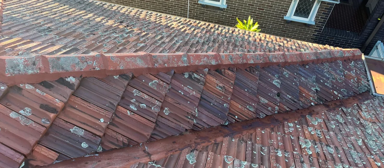 Weathered terracotta tile roof and ridge line behind an Inner West brick home