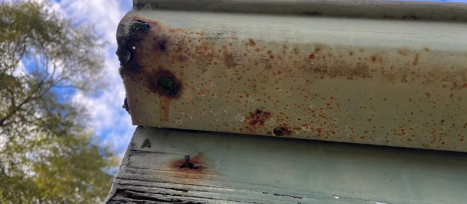 Rusted gutter end and fascia on an older Sydney home, tree canopy behind