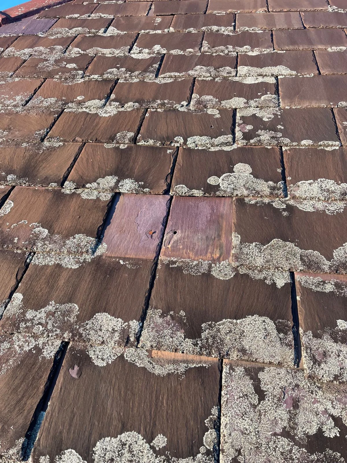 Heavily weathered tile roof covered in lichen and moss