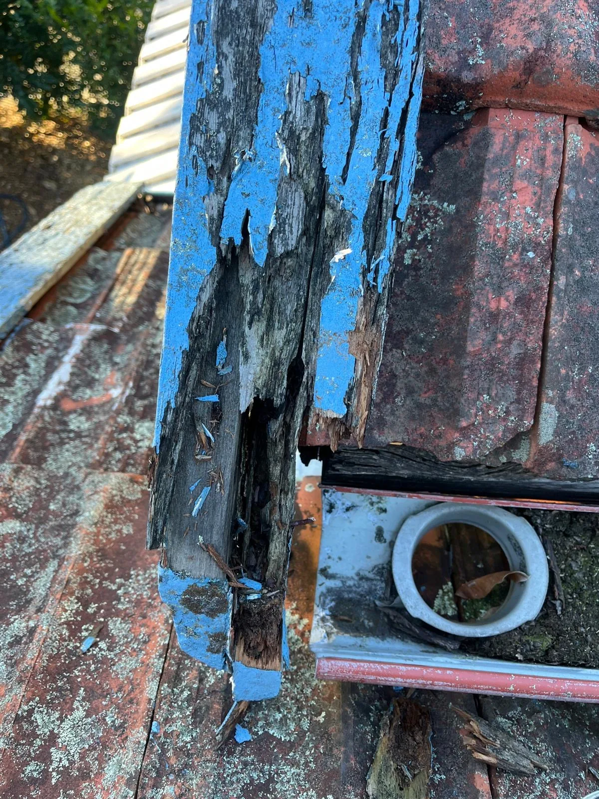 Rotted timber bargeboard exposed at the roof edge